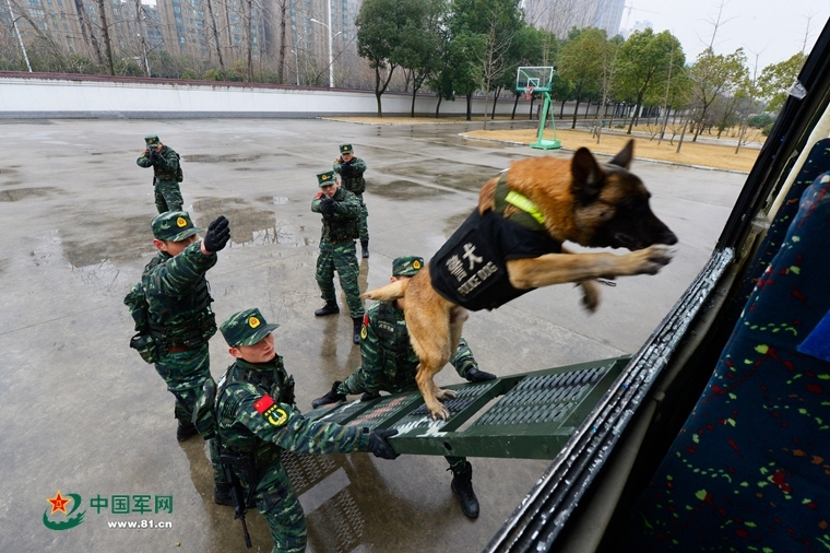 苹果注册id教程