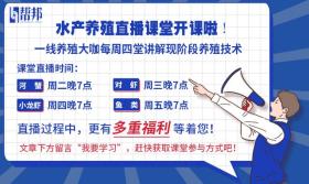 当大棚遇上对虾和小龙虾，亩利润超万元！究竟是实情还是炒作？ 