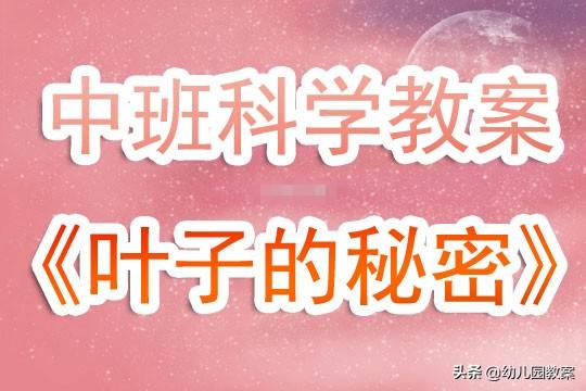 幼儿园中班优秀科学教案《叶子的秘密》含反思 